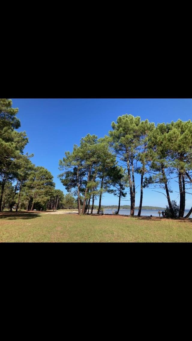 Villa Dune Biscarrosse Exteriör bild