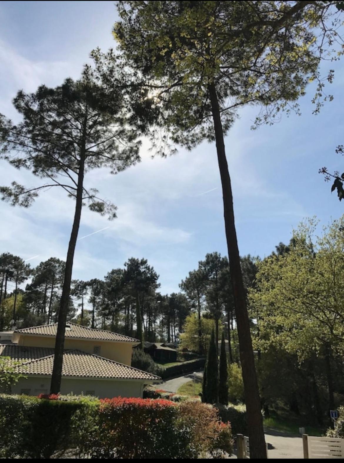 Villa Dune Biscarrosse Exteriör bild